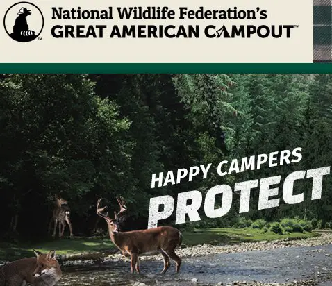 Bullet Colt RV Giveaway