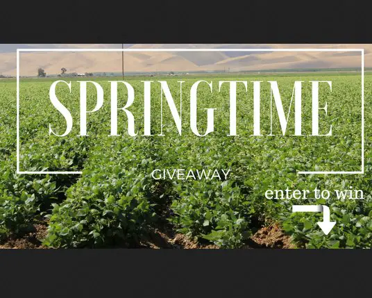 California Beans Springtime Giveaway