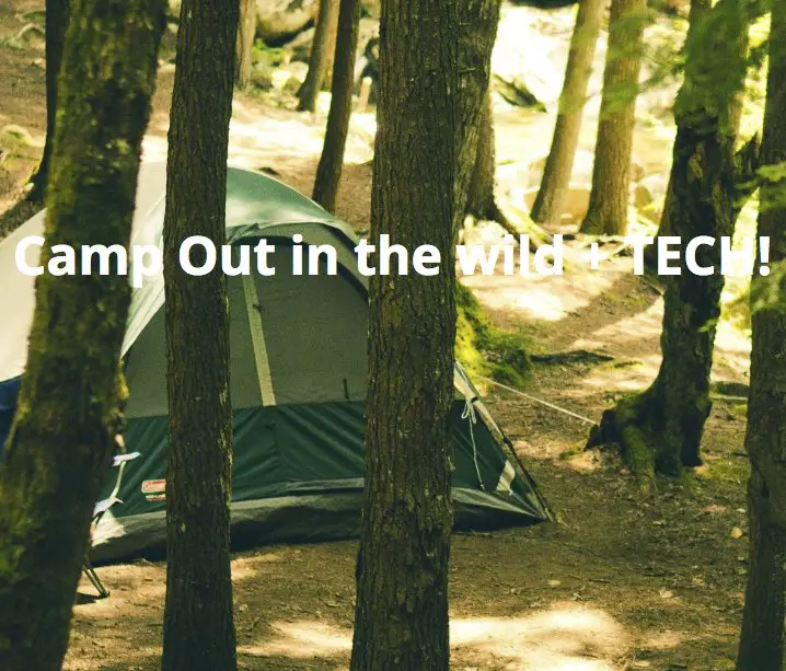 Camp Out in the Wild Sweepstakes