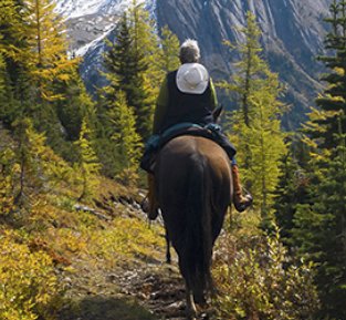 Canadian Rockies Riding Experience Contest