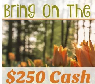 Cash Giveaway Event!