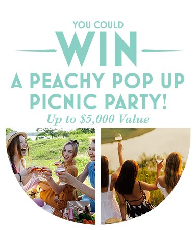 Castello Wines Make The Moment Castello Sweepstakes - Win A $5000 Party For 6