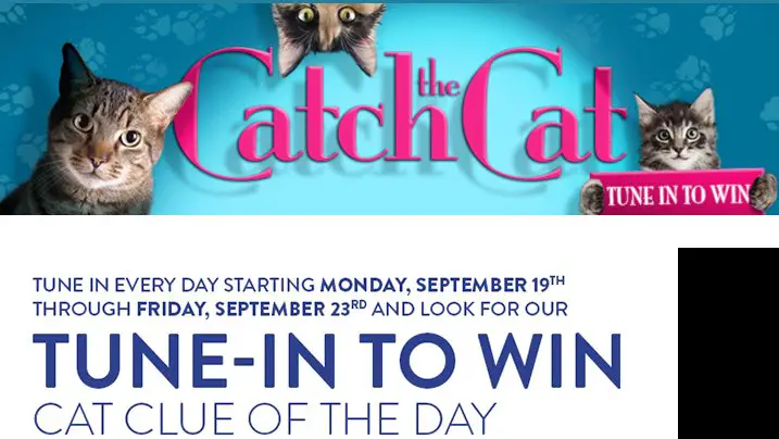 Catch the Cat - Tune in to Win $10,000