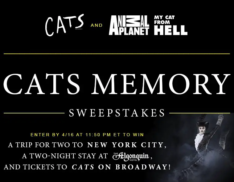 Cats And Animal Planet Memory Sweepstakes