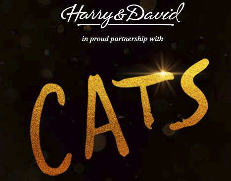 Cats Sweepstakes