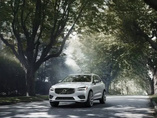 Celebrating 20 Years (Win A Car)