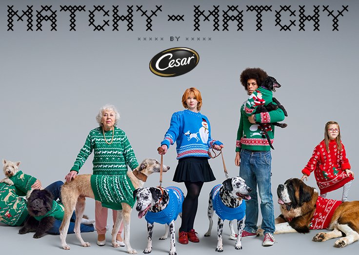 Cesar Matchy Matchy Holiday Sweater Sweepstakes