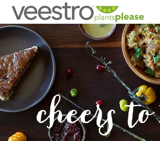 Cheers to the Holidays Sweepstakes!