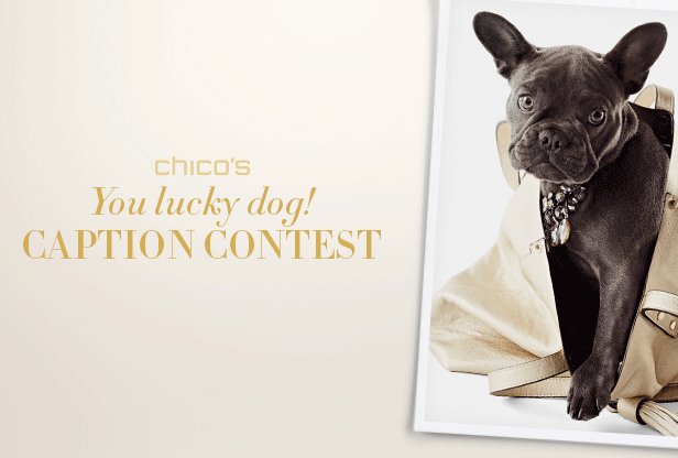Chico's You Lucky Dog! Holiday Contest