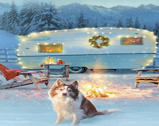 Christmas Room Is Coming Sweepstakes