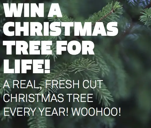 Christmas Tree For Life Sweepstakes!