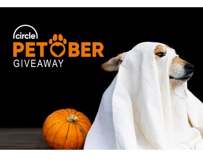 Circle PetOber Giveaway - Win a $250 Chewy Gift Card