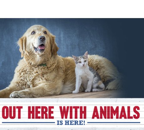 Codys Tractor Supply Sweepstakes