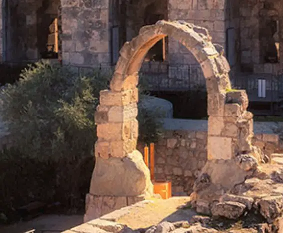 Colavita Israel Sweepstakes