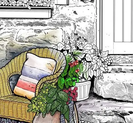 Color Your Own Contest