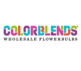 Colorblends Sweepstakes 2022 - Win a Trip to Amsterdam to Visit Keukenhof Flower Garden