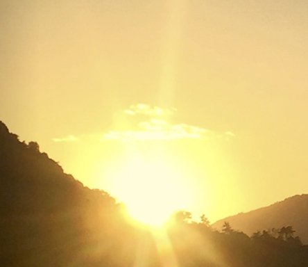 Come to Japan Sweepstakes