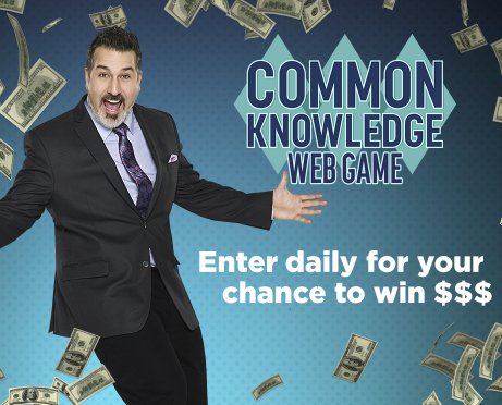 Common Knowledge Web Game, 4 Winners
