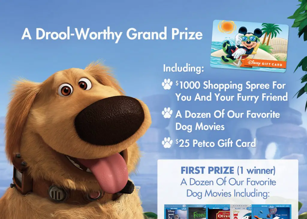 Cool! Dog Days of Summer Sweepstakes
