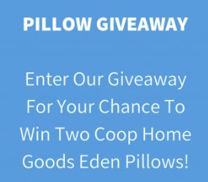 Coop Home Goods Eden Pillow
