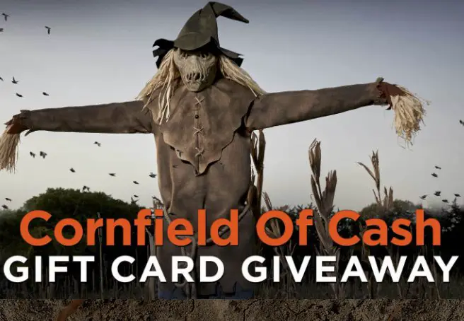 Cornfield of Cash Sweepstakes