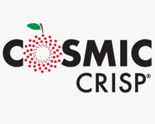 Cosmic Crisp Sweeter Together Giveaway - Win a Gift Card, Kitchen Tools and More