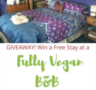 Cosy Vegan B&B -- 2 Night, All-Inclusive Stay