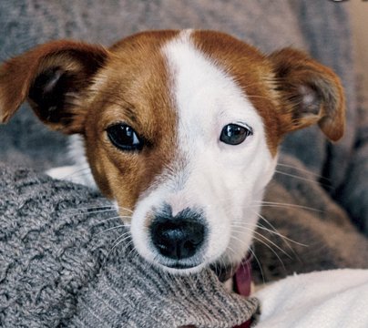 Cozy Cashmere Giveaway