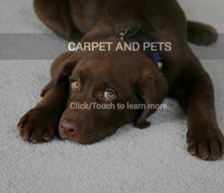 CRI Back to School Sweepstakes