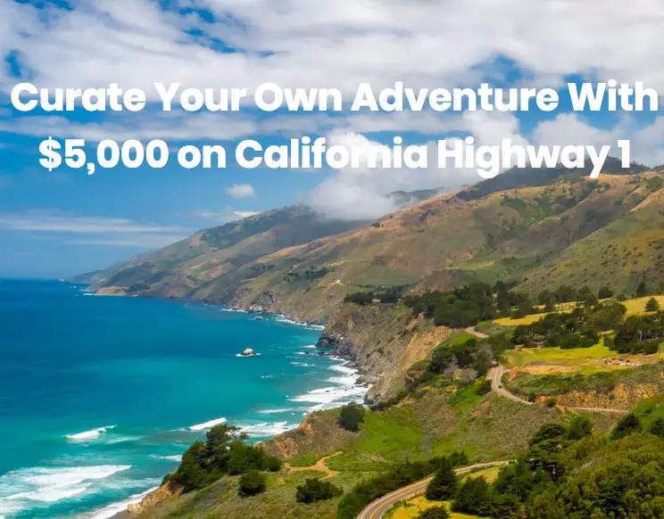 Curate Your Own Adventure Giveaway