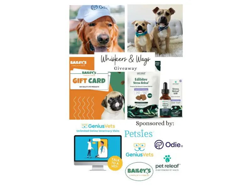 Daily Dig Whiskers & Wags Giveaway - Win Gift Cards, Merch & More