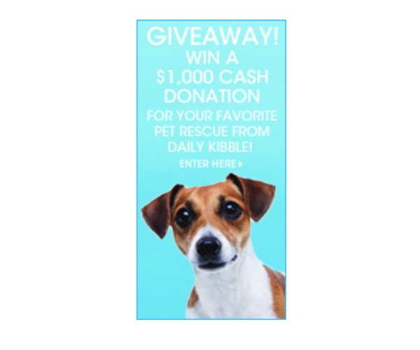 Daily Kibble Spread The Love Giveaway - Win A $100 Petco Gift Card + A $1,000 Donation To Local Pet Shelter