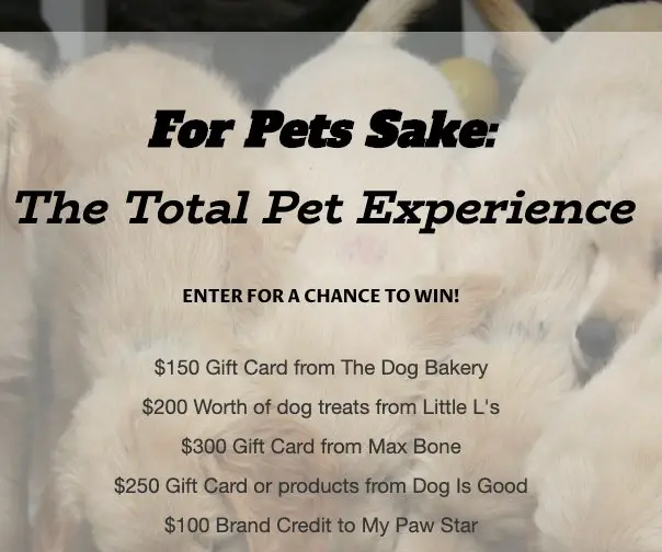 Dealwiki The Total Pet Experience Sweepstakes