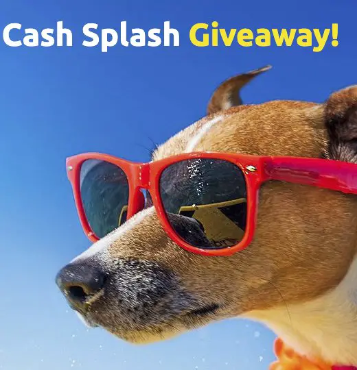 Debt.com Summer Cash Splash Giveaway