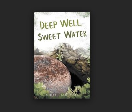 Deep Well, Sweet Water Giveaway
