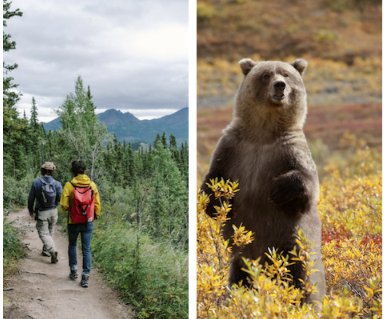Denali Park Alaska Village Sweepstakes