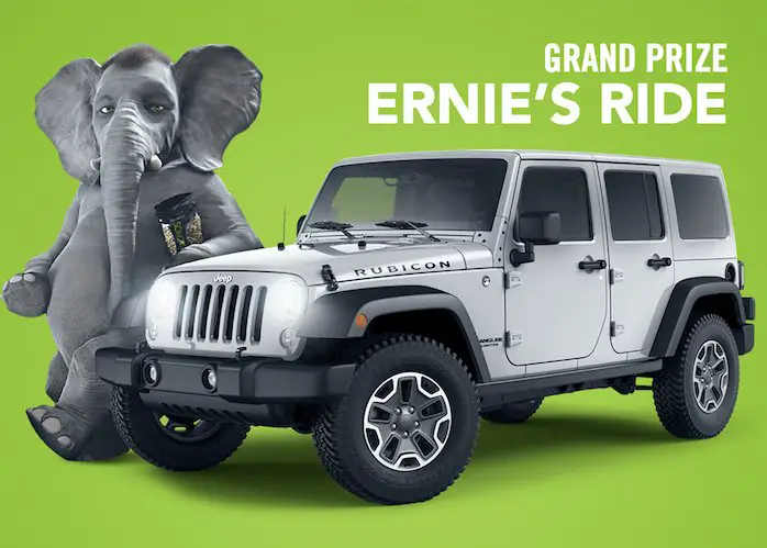 Destroy Ernie’s Evidence to Win Cash and More!