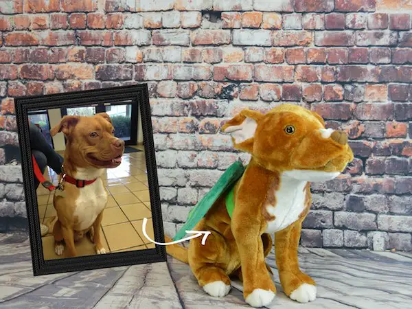 Disney's Pete's Dragon Sweepstakes - 25 Winners!