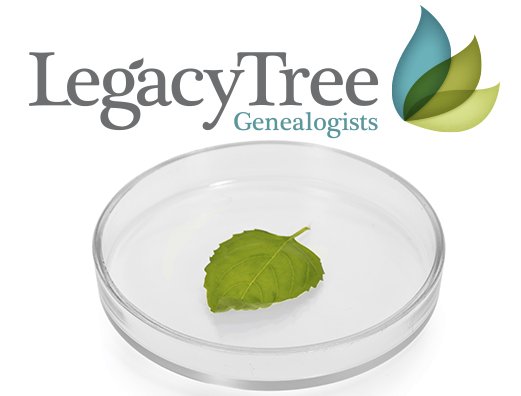 DNA Analysis Giveaway