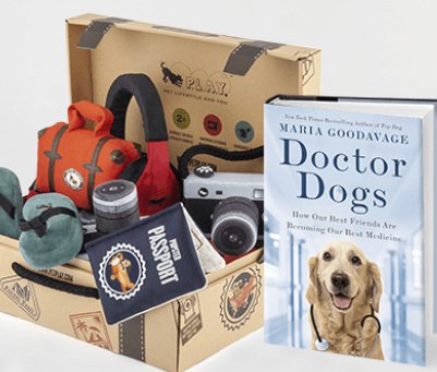 Doctor Dogs and Toy Set
