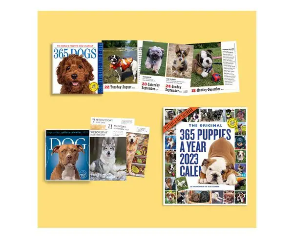 Dog Calendar Sweepstakes - Win a Gift Card, Dog Calendars and More