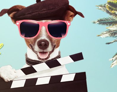 Dog Days Of Summer Contest