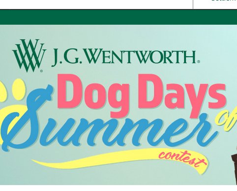 Dog Days Of Summer Contest