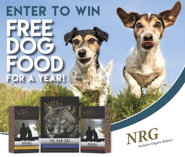 Dog Food for a Year Contest