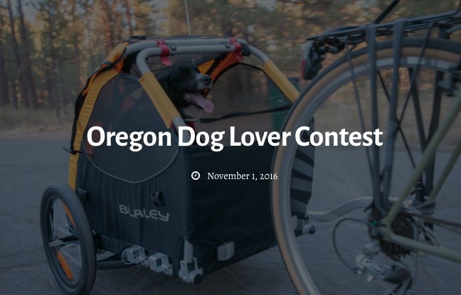 Dog Lover Contest!
