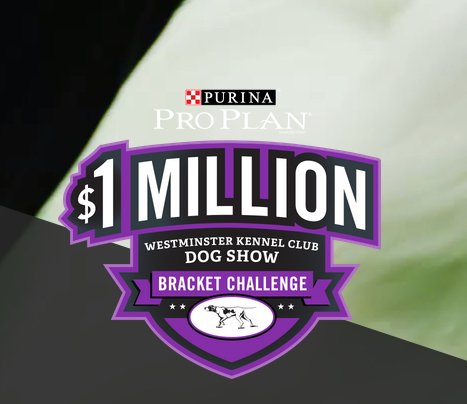 Dog Show Bracket Challenge: Win $1 Million Cash