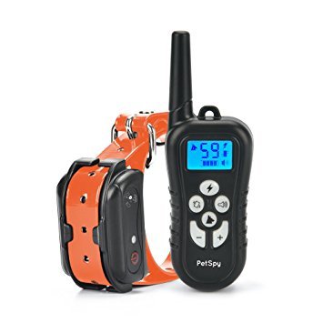Dog Training Shock Collar Instant Win Giveaway