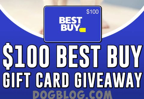 DogBlog.com's $100 Best Buy Gift Card Giveaway