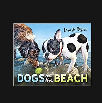 Dogs on the Beach Giveaway