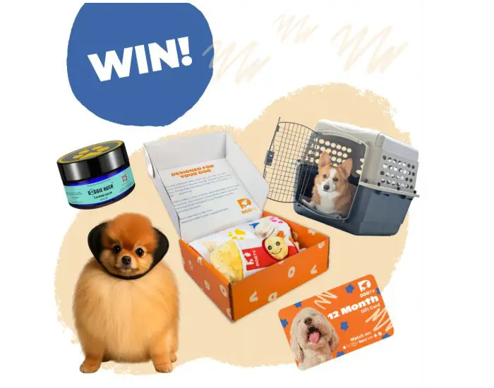 DOGTV Dog Anxiety Relief Pack - Win Pet Care Products & More